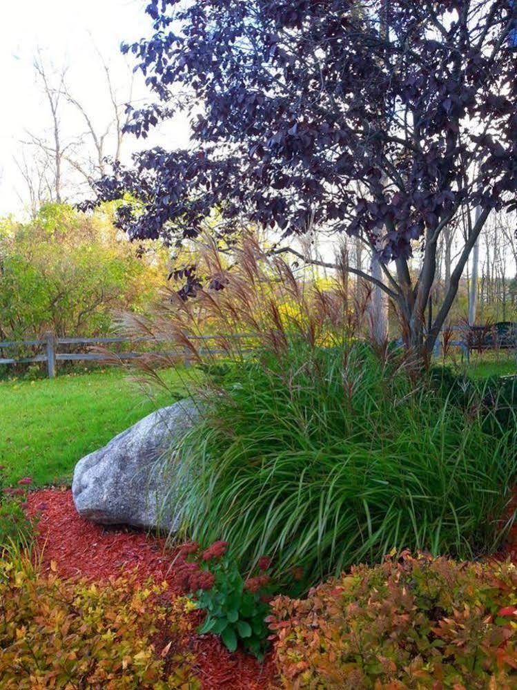 Bellaire Stone Waters Inn מראה חיצוני תמונה